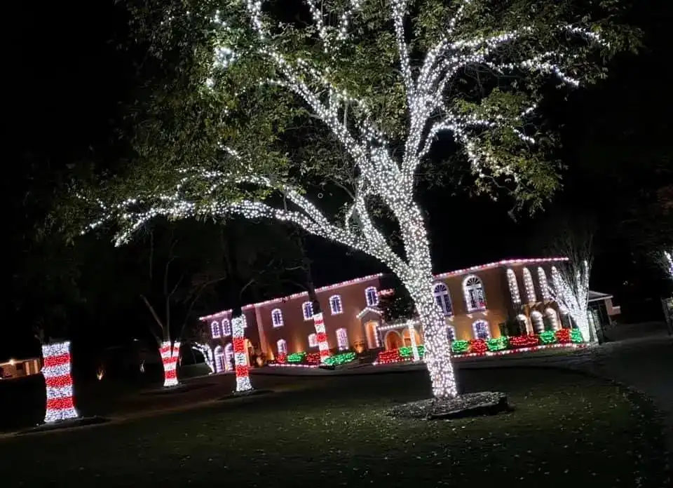 Commercial Christmas lights installed by Roper