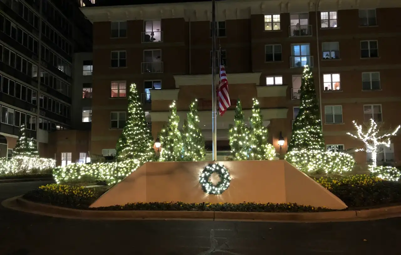 Building entrance with lit evergreens, wrapped trees and a lit wreath at night